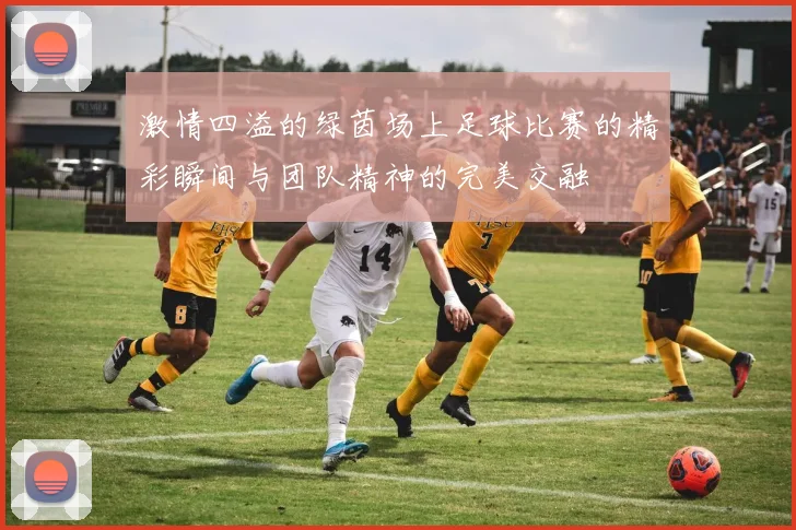 激情四溢的绿茵场上足球比赛的精彩瞬间与团队精神的完美交融