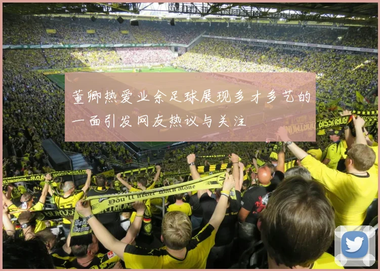 董卿热爱业余足球展现多才多艺的一面引发网友热议与关注