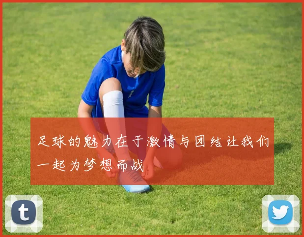足球的魅力在于激情与团结让我们一起为梦想而战