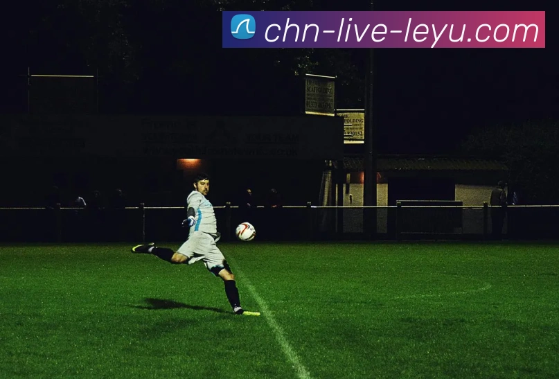 乐鱼官网VIP平台生态图