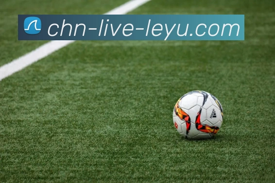 乐鱼官网VIPAPP 封面图