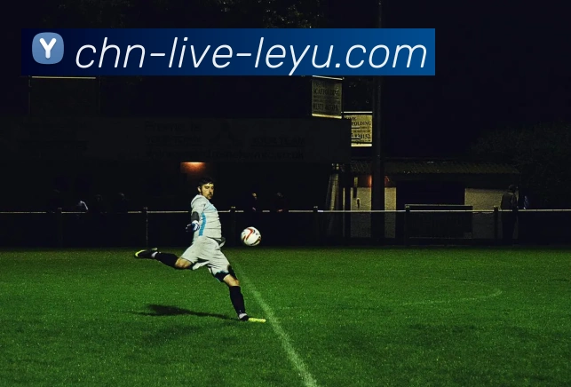 奖项证书